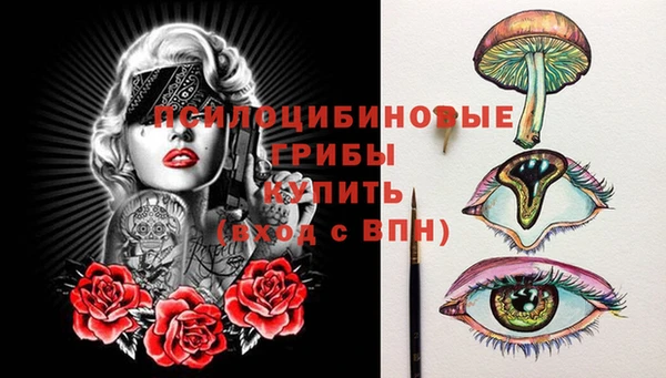 гидропоника Абаза