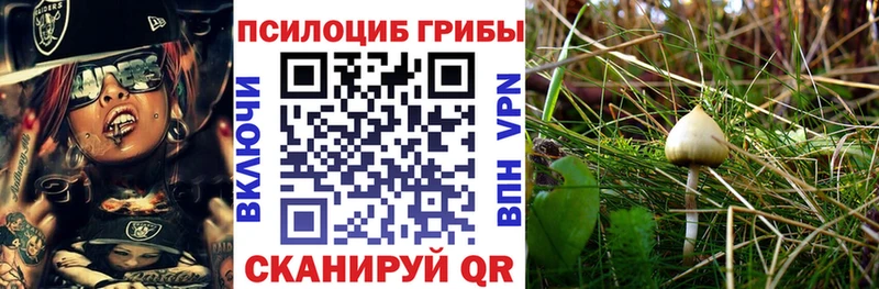 где найти наркотики  Когалым  Псилоцибиновые грибы MAGIC MUSHROOMS 